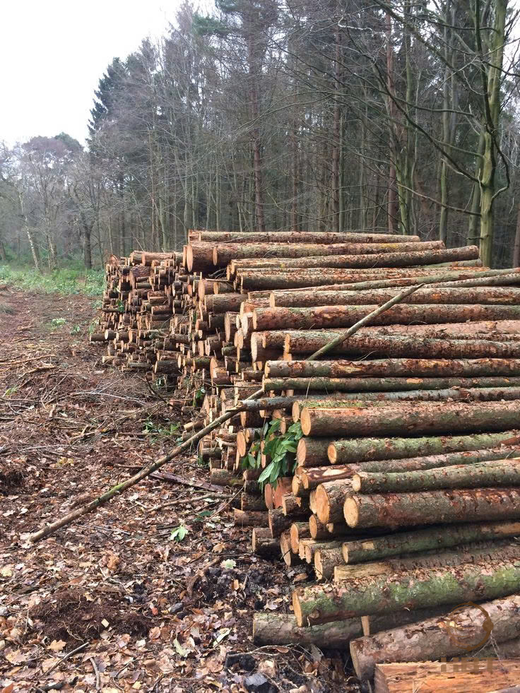 5716da2bb2c806965fd9