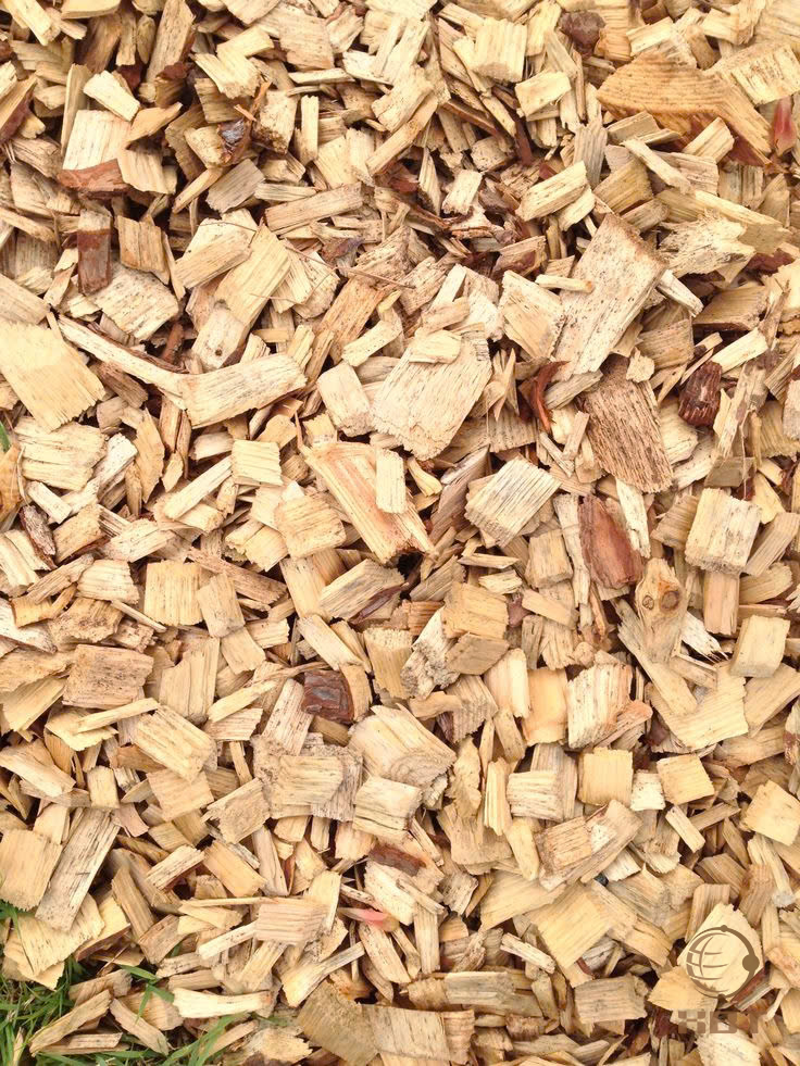 e6491ba47147c5199c56