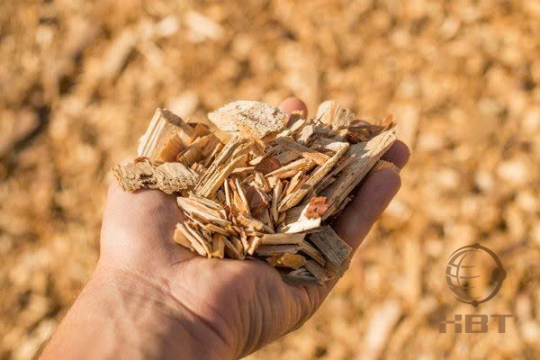 f6aac097a8741c2a4565